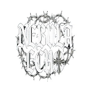 NEBULA ECHO